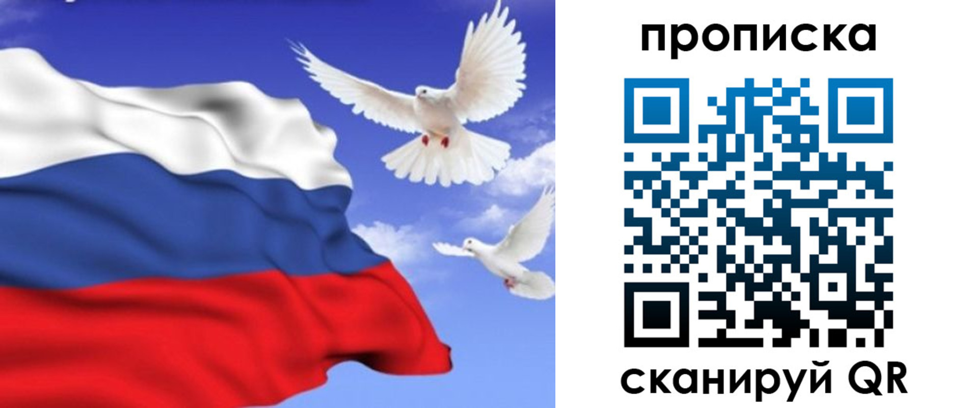 временная регистрация гарантия в Наволоках